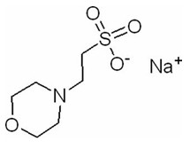 Sal ácido do sódio de CAS 71119-23-8 MES-NA 2 (N-Morpholino) Ethanesulfonic